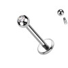 Labret  con Pallina da 2.5mm di Diversi Colori, Helix