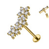 Crystal Branch Labret Piercing