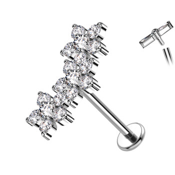 Crystal Branch Labret Piercing