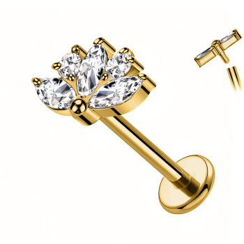 Labret Cartilagine con Cinque Cristalli Sfaccettati
