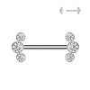 Internally Threaded Barbell with Crystals