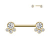 Barbell Capezzolo con 4 Cristalli Push-In, Capezzolo
