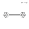 Barbell Capezzolo