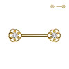 Barbell Capezzolo