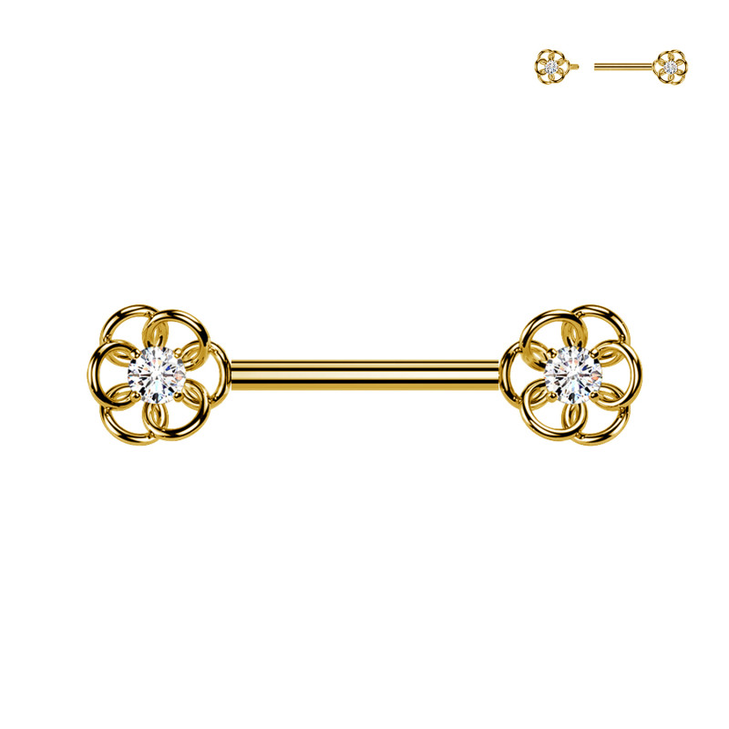 Barbell Capezzolo