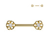 Barbell Capezzolo