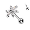 Labret Piercing with Dragonfly Shaped Crystals
