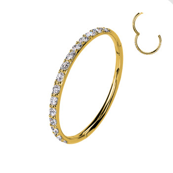 Classico Anello a Cerchio Septum con Cristalli in Titanio