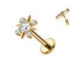 Titanium Labret Piercing with Star-Shaped Crystal