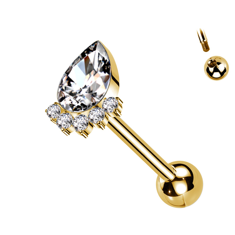 Piercing with Drop-shaped Cat's Paw Crystals in Titanium