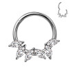 Cerchio Clicker in Titanio con cristalli