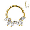 Cerchio Clicker in Titanio con cristalli