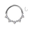 Titanium Clicker Circle Piercing with Graded Crystals