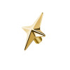 Dermal Top a Forma di Stella