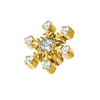 Dermal Top a Forma di Neve