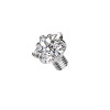 Dermal Top in Titanio con Cristallo a Forma di Stella