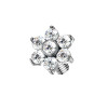 Titanium Dermal Top with Flower-Shaped Crystal